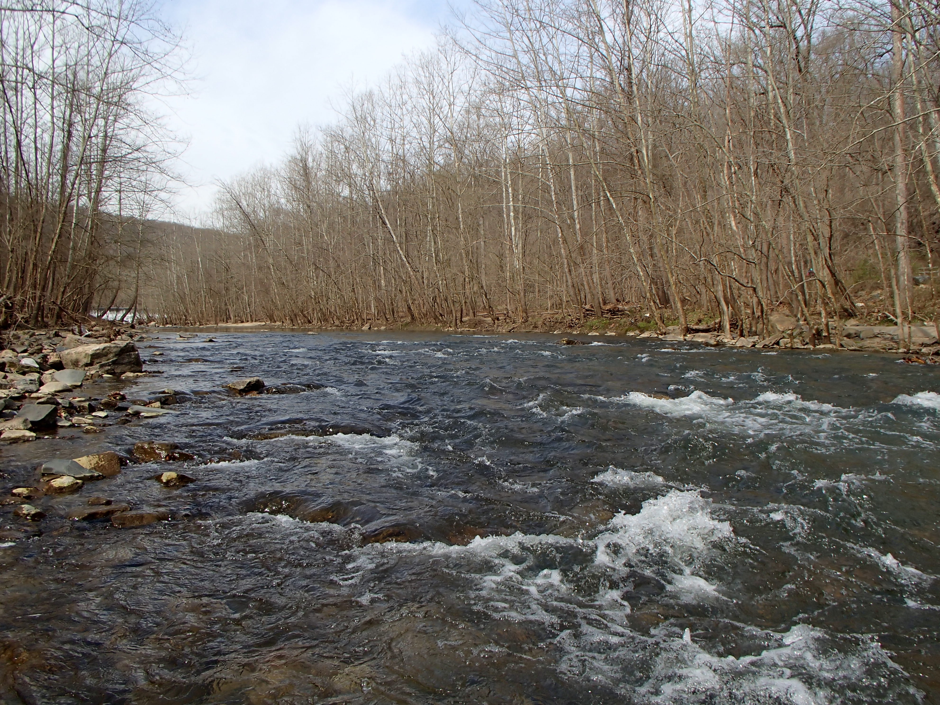 Field photo showing stream conditions at site PATL-516-X-2016_midpoint looking upstream